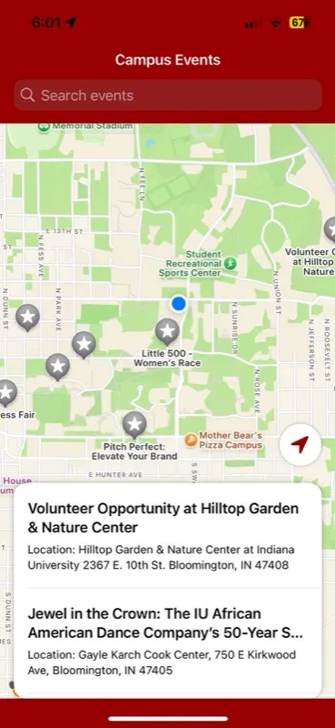 BloomingtonBuzz project screenshot